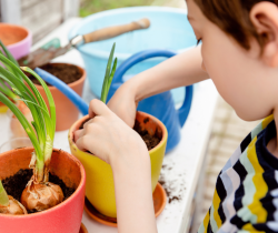 Jeune garçon en train de rempoter des plantes à l’extérieur dans des pots de fleurs aux couleurs vives