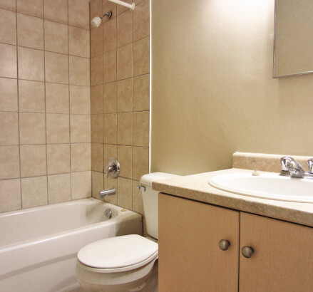 182 Lisgar new bathroom3