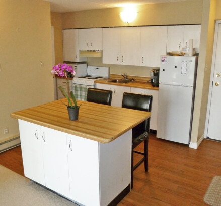 201 211 Hunter kitchen2