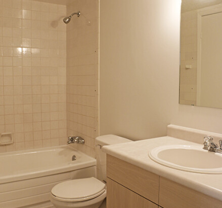 238 Erie new Bathroom