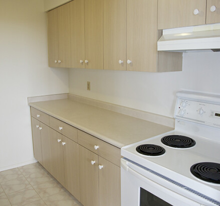 238 Erie new Kitchen 2