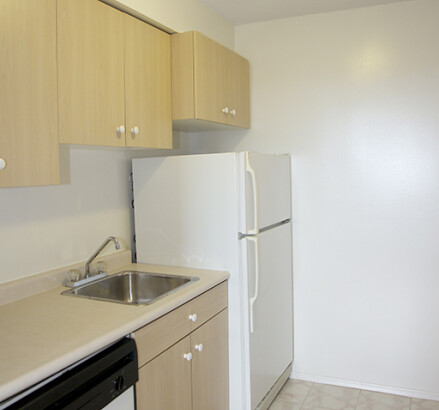 238 Erie new Kitchen