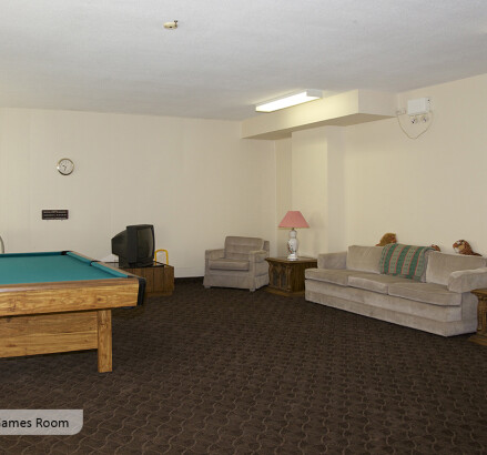 238 Erie new Social and games room2