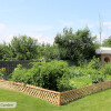 25 Bricelend Community garden