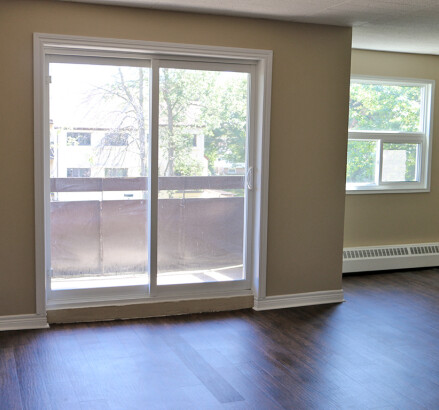 255 265 Willson new 1 bedroom livingroom