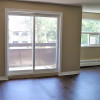 255 265 Willson new 1 bedroom livingroom