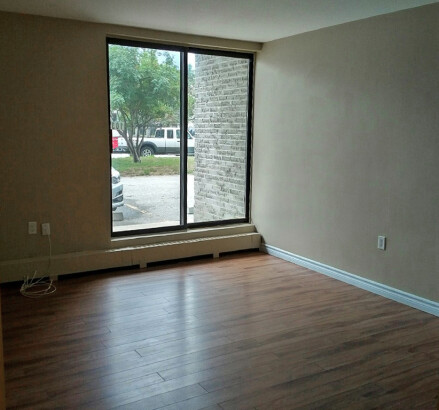 295 Lakeshore Living room 2