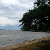 295 Lakeshore beach view tide