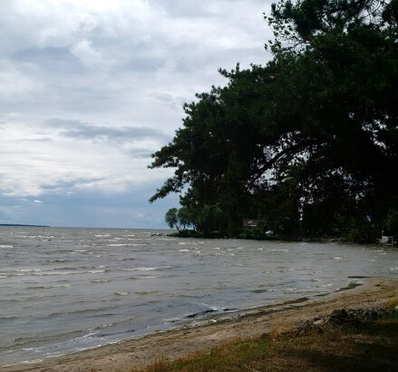 295 Lakeshore beach view tide