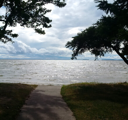 295 Lakeshore beach view
