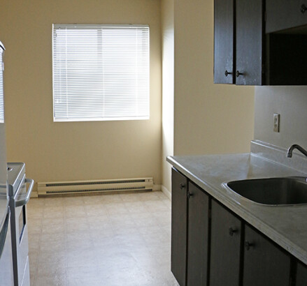 3590 Peter 1 bedroom kitchen facing dining area