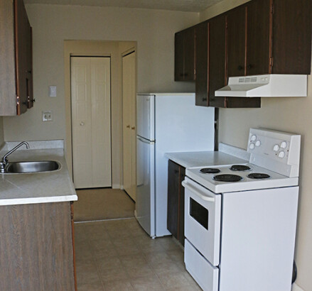 3590 Peter 1 bedroom kitchen2