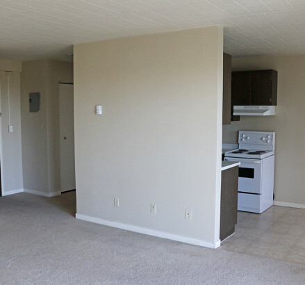 3590 Peter 1 bedroom living room facing kitchen