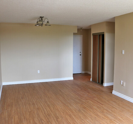 511 7th new 1 bedroom livingroom