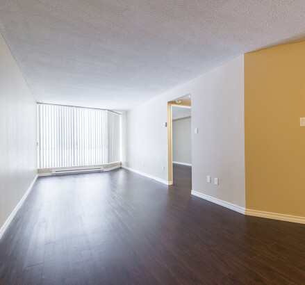 621 627 631 MacDonald 1 bedroom livingroom facing patio2