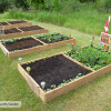 621 627 631 MacDonald Community Garden