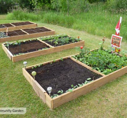 621 627 631 MacDonald Community Garden