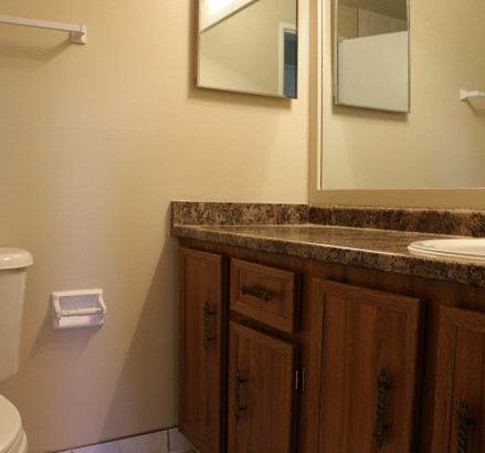 89 Riverview new 3 bedroom bathroom vanity2