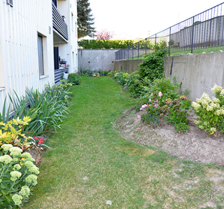 Grounds 3