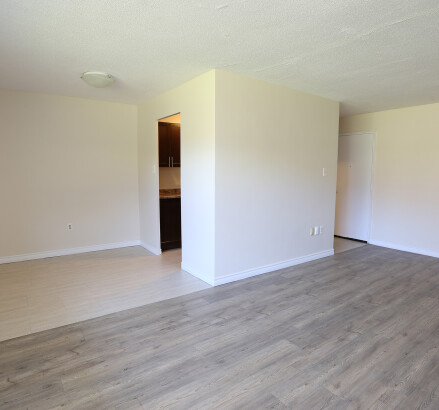 Living Room 21