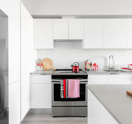 NorthPoint Display2 22