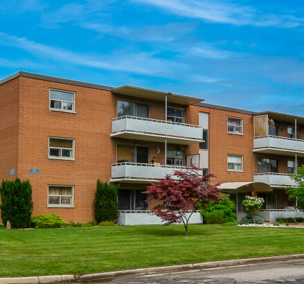 Skyline 368 Exmouth 17