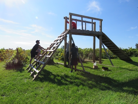 IMG 2771 web
