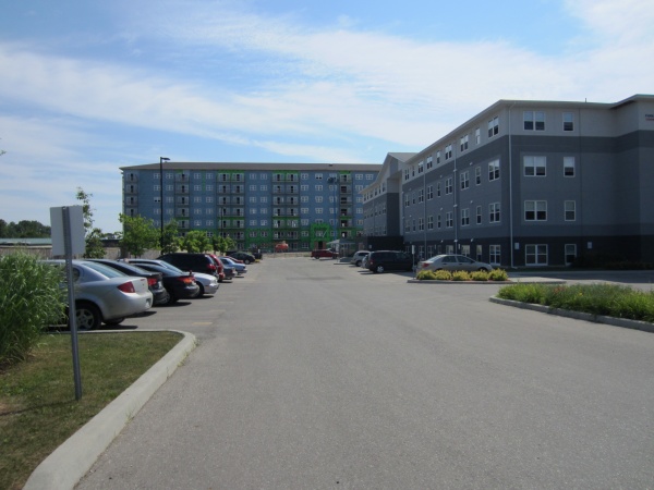 IMG 3701