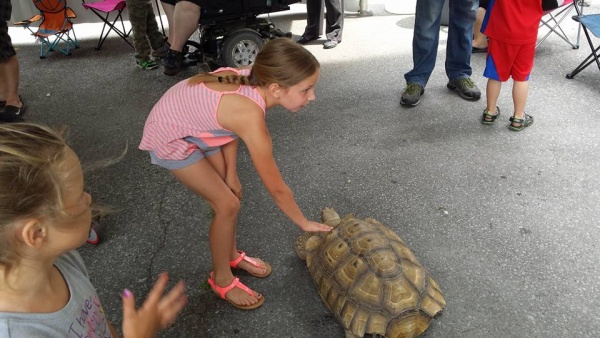 Zoo2You Turtle Petting