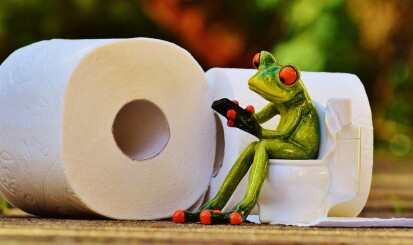 frog toilet paper banner