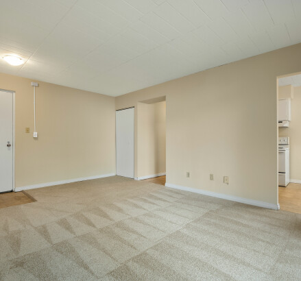3410 Peter Unit 205 12