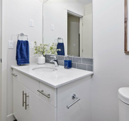 3635 Carrington Road 1 Bedroom Model Suite Bathroom 2