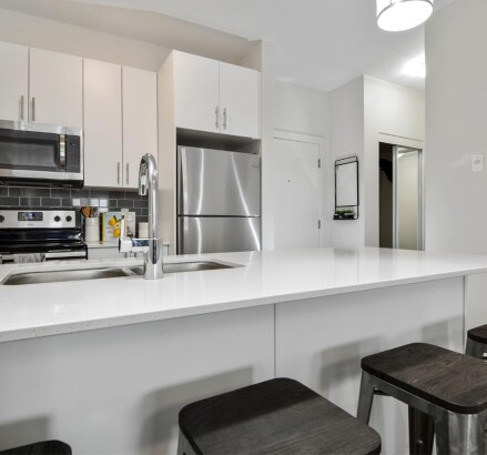 3635 Carrington Road 1 Bedroom Model Suite Kitchen 3