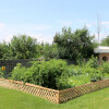Briceland Community Garden v2