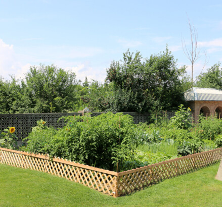 Briceland Community Garden v2