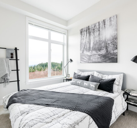 LRNorthPoint Display 30 v3