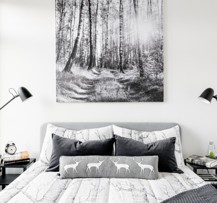 LRNorthPoint Display 32 v2