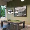SILVERCREEK BILLIARD 2
