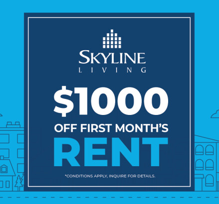 SL HV Promo Graphic 1000 OFMR FA