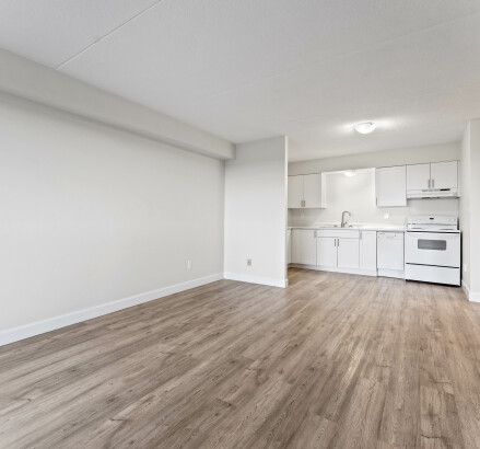 Skyline Living 11873 Tecumseh 2 Bed 1 Bath4