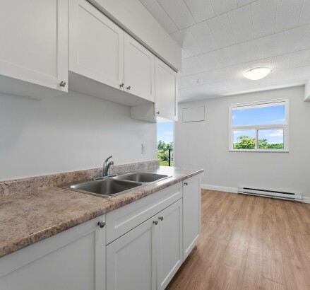 Skyline Living 11886 Tecumseh Road East 2 Bed 1 Bath 10