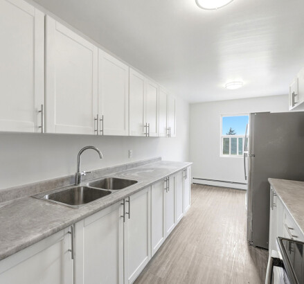 Skyline Living 185 Berkshire Building Unit 406 19