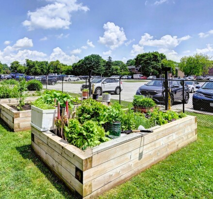 Skyline Living 26 Willow Rd Exteriors and Amenities22
