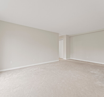 Skyline Living 260 262 Randolph Place Photography 1