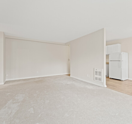 Skyline Living 260 262 Randolph Place Photography 3