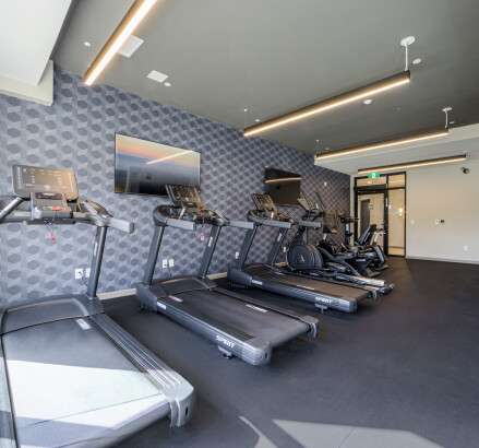 Skyline Living 30 Queensland Stratford Exterior Amenities 63