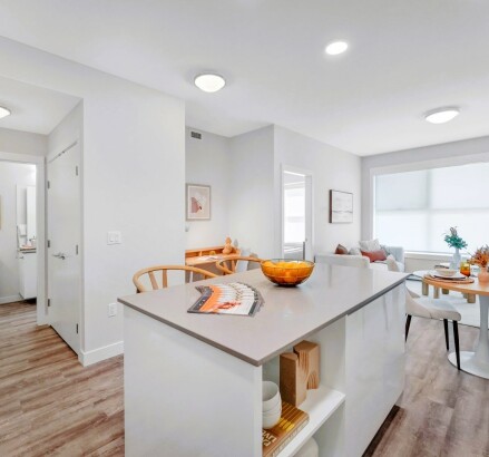 Skyline Living North Point Apartments 1 Bed Unit4