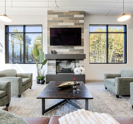 Skyline Living Silvercreek Apartments Amenities 15