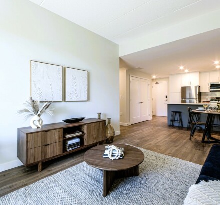 Skyline Living Silvercreek Apartments Unit 103 14