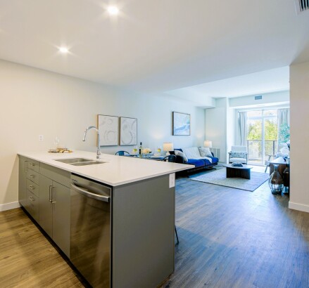 Skyline Living Silvercreek Apartments Unit 103 9 v2